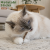 b4b96339d96fd7790781f15d4976da3f.png
