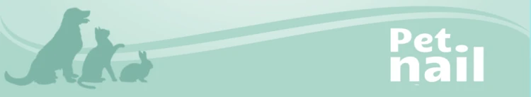 fdb18941974396c7bcd3d507aae32652.png