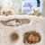 8695a0f2203aaac65d0e7c3ab178d197.png