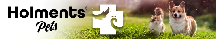 f9e18530a53105685c8f978af12d2a78.png