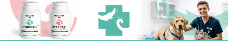 aba6a2f33cbea6cb1d1e628a11628633.png