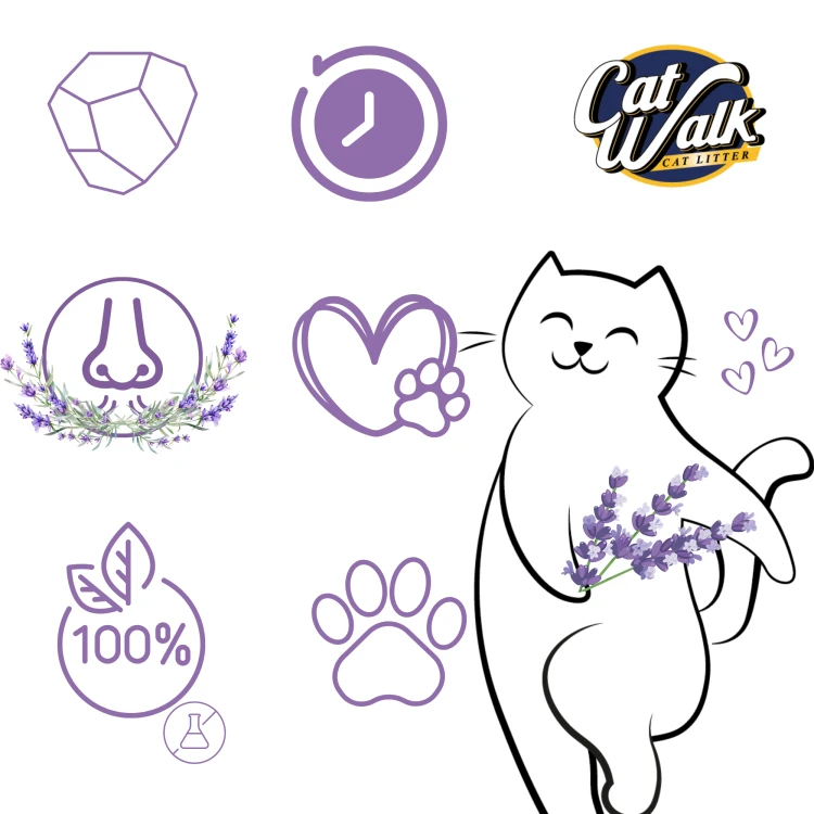 240dfb2571c6435a5f153ca367ec1f74.png