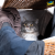 3cb95d0438d11c6169f87eb6f596f6c9.png