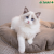 5e4132ba41fcec6d74135feeaa979b6a.png