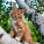 8b82f145ff8ea2f2d921d9b66c2349e0.png