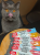 3e74b8df643c0e4b49d309119ce4a2e8.png