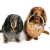 703fa218b4bc42758032f53b404f210e.png