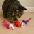 915a9ee83d83d84fee18b9ad8ba43032.png