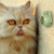 4d339aef12d436fb5a930a098570798d.png
