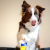 a2a3d09a9a73db79f62356d8b4958856.png