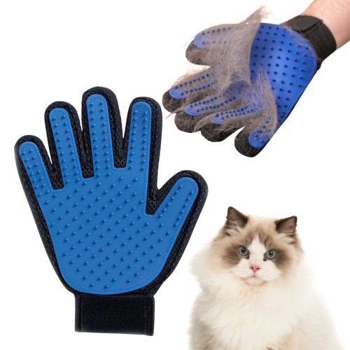 5438fecd8a1c164217dc114c4fa88dd8.png