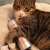 a3cfefd11f4b48c5247597b921a09739.png