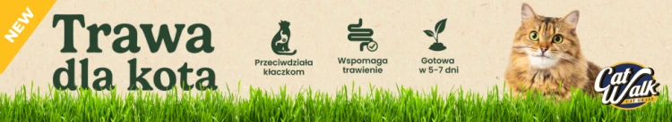 9eaa69399f6cf6443667e4d4d4666604.png