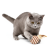 ce7ca401948b7ac0a1945ec0caeb825a.png