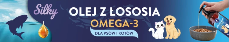 dfa950d505dd935f23ffa5a27bb3a63c.png